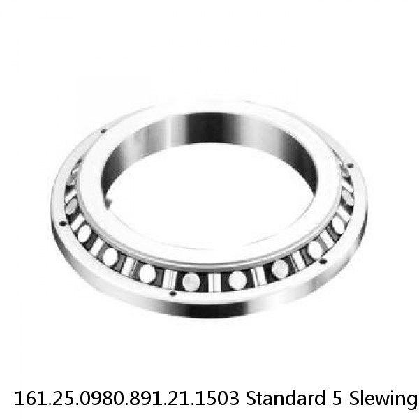 161.25.0980.891.21.1503 Standard 5 Slewing Ring Bearings