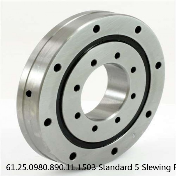 61.25.0980.890.11.1503 Standard 5 Slewing Ring Bearings