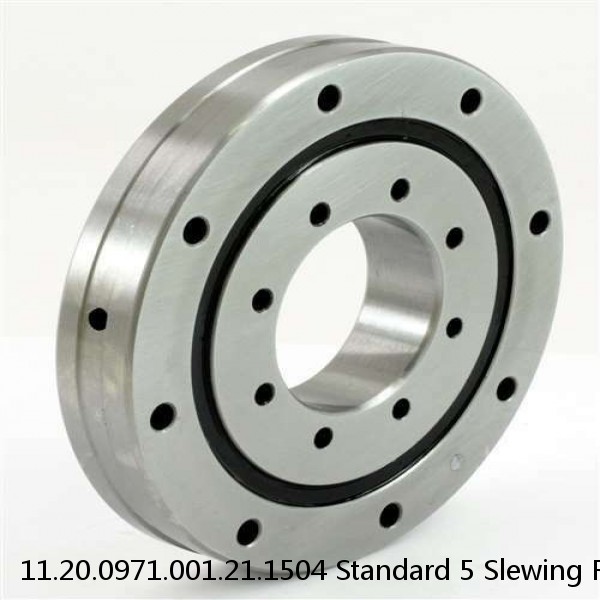 11.20.0971.001.21.1504 Standard 5 Slewing Ring Bearings