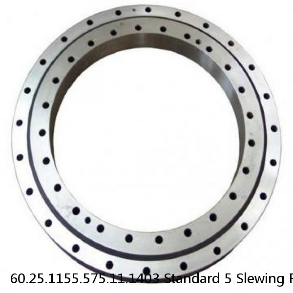 60.25.1155.575.11.1403 Standard 5 Slewing Ring Bearings