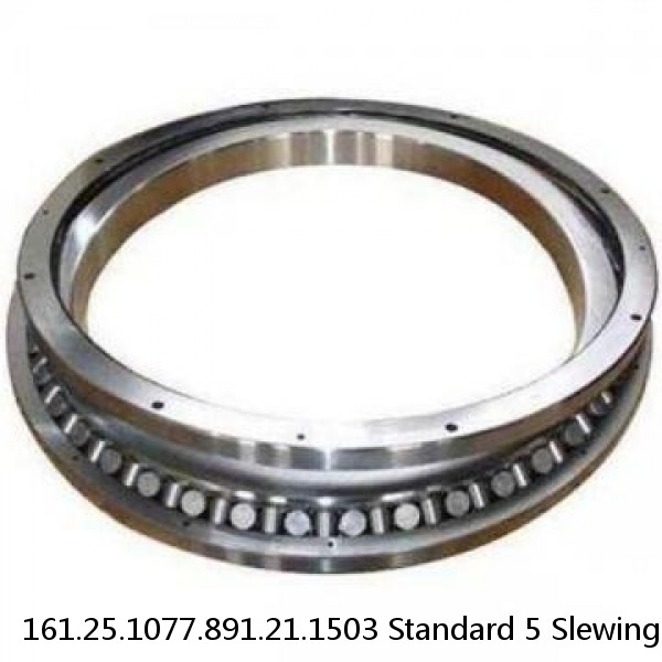 161.25.1077.891.21.1503 Standard 5 Slewing Ring Bearings