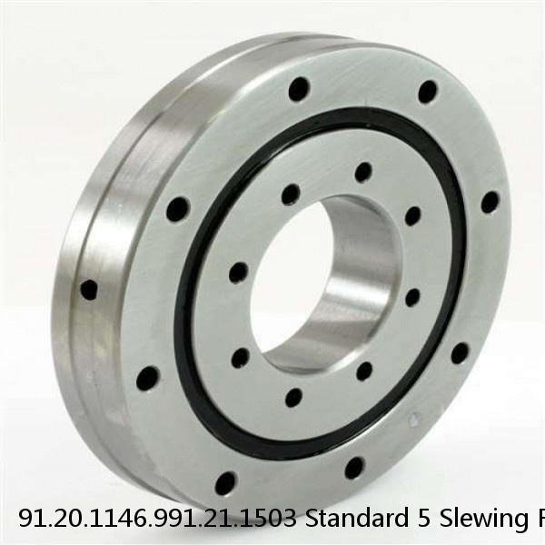 91.20.1146.991.21.1503 Standard 5 Slewing Ring Bearings