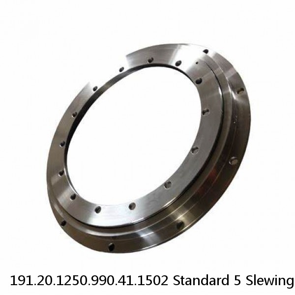 191.20.1250.990.41.1502 Standard 5 Slewing Ring Bearings