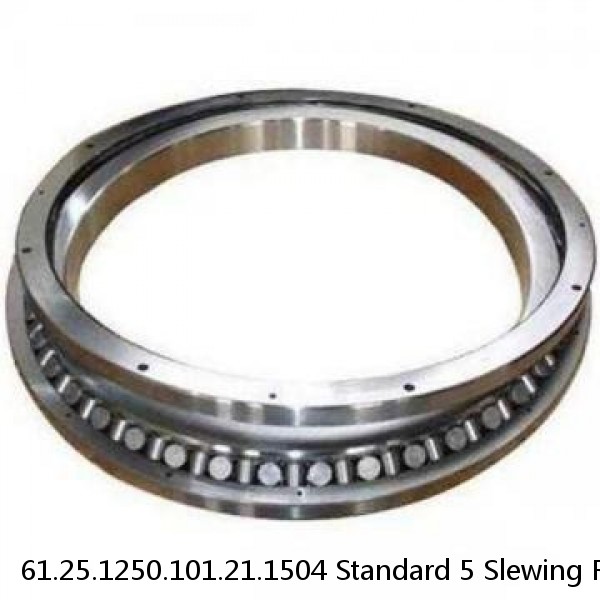 61.25.1250.101.21.1504 Standard 5 Slewing Ring Bearings