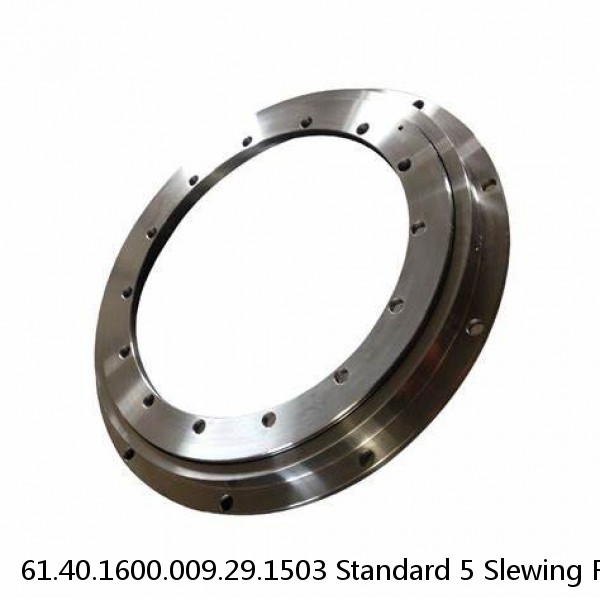 61.40.1600.009.29.1503 Standard 5 Slewing Ring Bearings