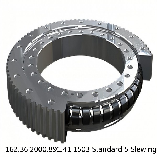 162.36.2000.891.41.1503 Standard 5 Slewing Ring Bearings