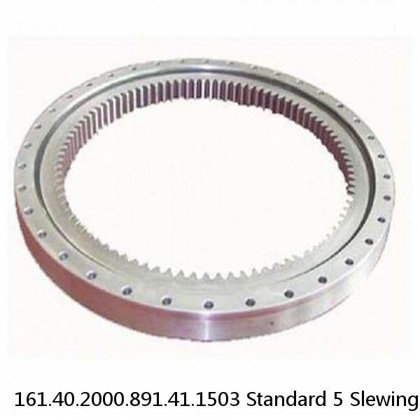 161.40.2000.891.41.1503 Standard 5 Slewing Ring Bearings