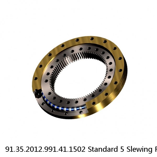 91.35.2012.991.41.1502 Standard 5 Slewing Ring Bearings