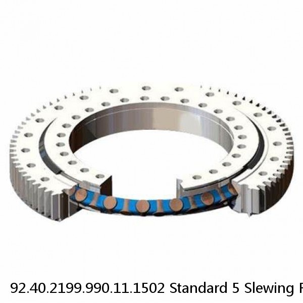 92.40.2199.990.11.1502 Standard 5 Slewing Ring Bearings