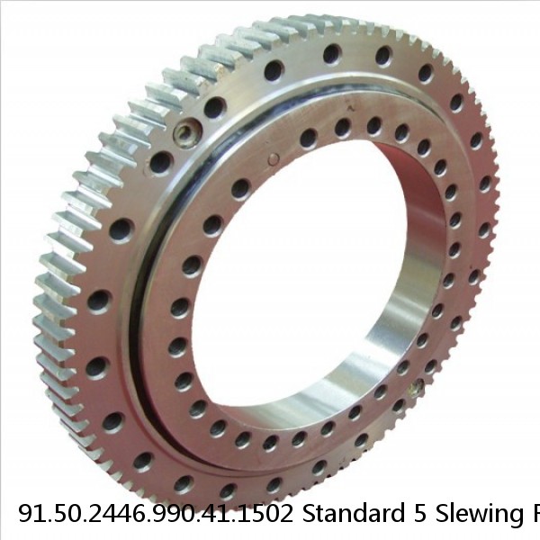 91.50.2446.990.41.1502 Standard 5 Slewing Ring Bearings