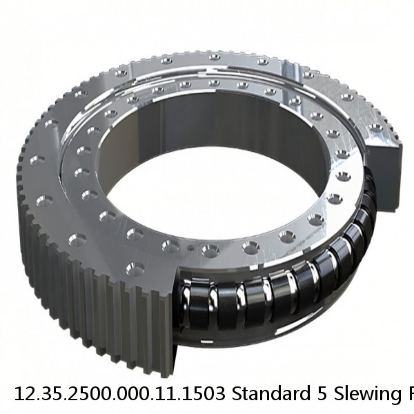 12.35.2500.000.11.1503 Standard 5 Slewing Ring Bearings