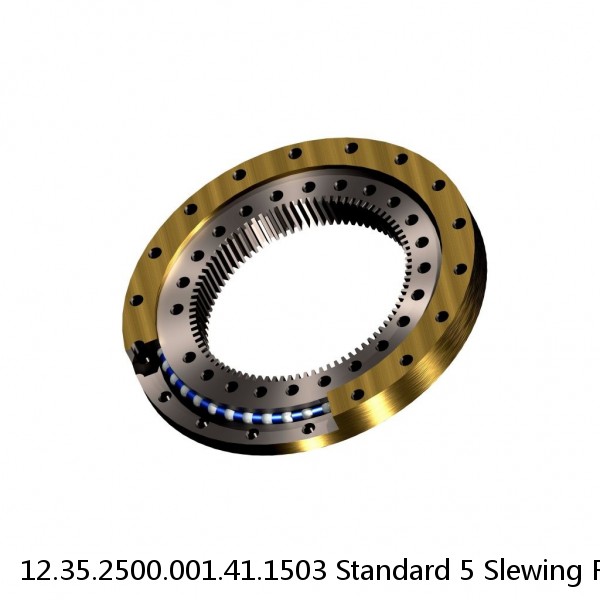 12.35.2500.001.41.1503 Standard 5 Slewing Ring Bearings