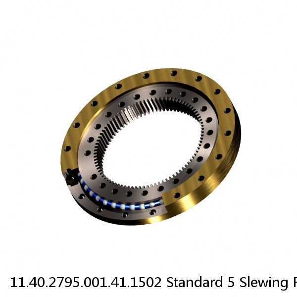 11.40.2795.001.41.1502 Standard 5 Slewing Ring Bearings