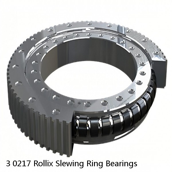 3 0217 Rollix Slewing Ring Bearings