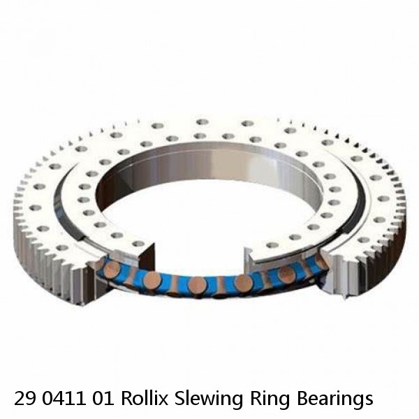 29 0411 01 Rollix Slewing Ring Bearings