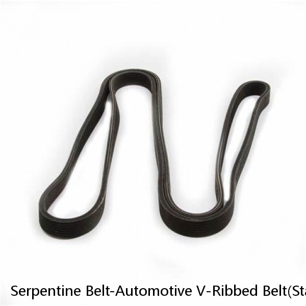 Serpentine Belt-Automotive V-Ribbed Belt(Standard) Roadmax 5K370AP (Fits: Audi)