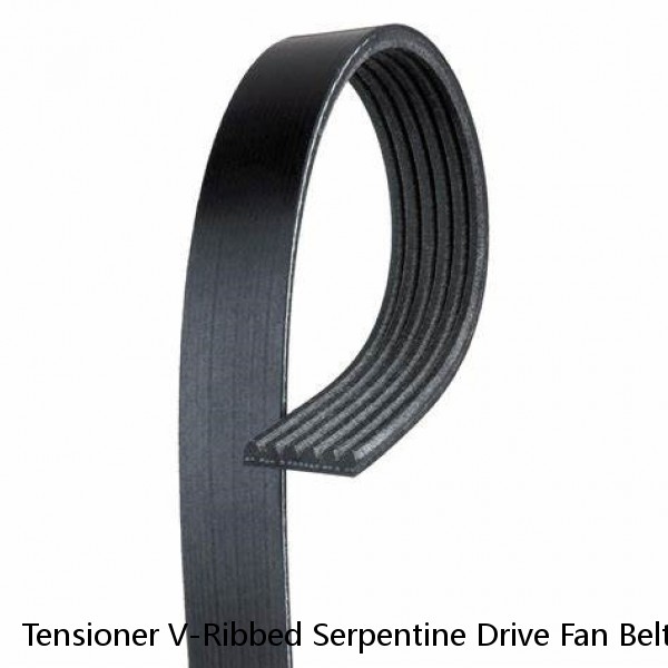 Tensioner V-Ribbed Serpentine Drive Fan Belt Set Gates INA For Audi  A4 B7 A6 C6 (Fits: Audi)