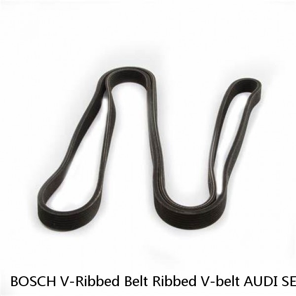 BOSCH V-Ribbed Belt Ribbed V-belt AUDI SEAT Alhambra VW Beetle 1987945731  (Fits: Audi)