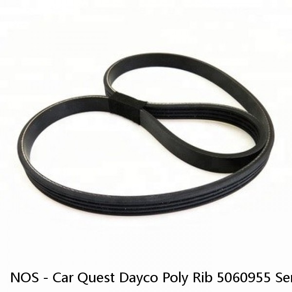 NOS - Car Quest Dayco Poly Rib 5060955 Serpentine Belt